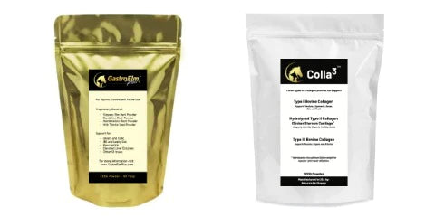 Small Bag GastroElm Plus & Colla 3 Combo