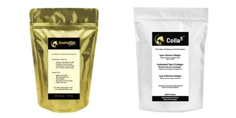 Big Bag GastroElm Plus & Colla3 Combo
