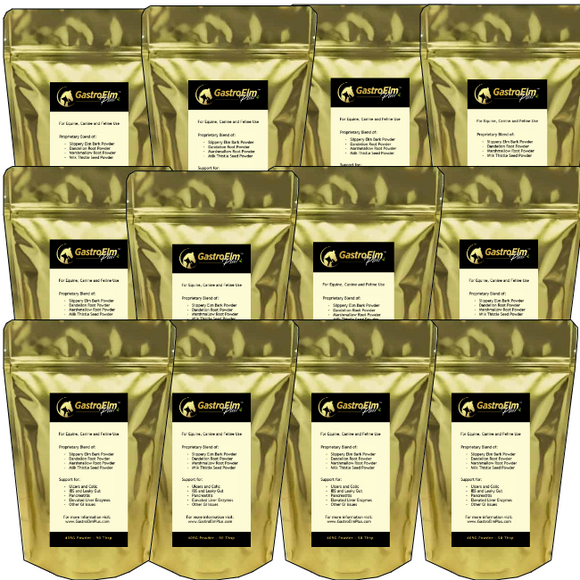 GastroElm Plus – 12 Pack