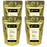 GastroElm Plus – 4 Pack